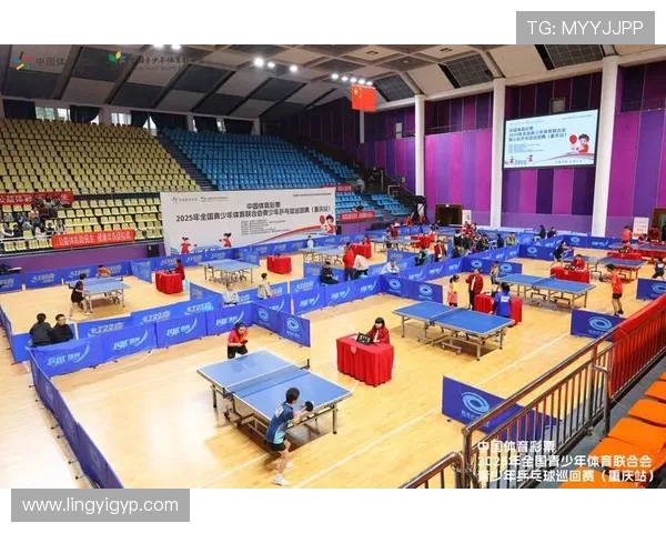 重庆乒乓球队在全国锦标赛中的个人能力分析与表现评估 重庆乒乓球队在全国锦标赛中的个人能力分析与表现评估